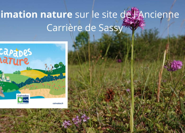 Animation nature sur le site de l&rsquo;Ancienne Carrière de Sassy