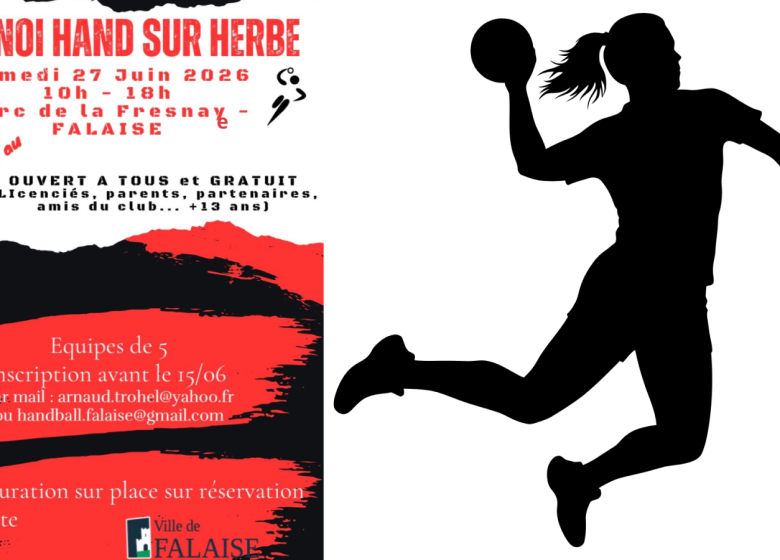 Tournoi de Hand sur herbe