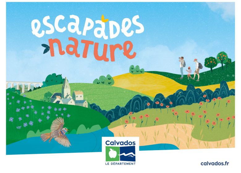 Chantier nature sur la réserve naturelle du coteau de Mesnil-Soleil