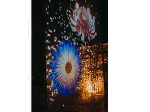 Les soirées illuminées d&rsquo;été
