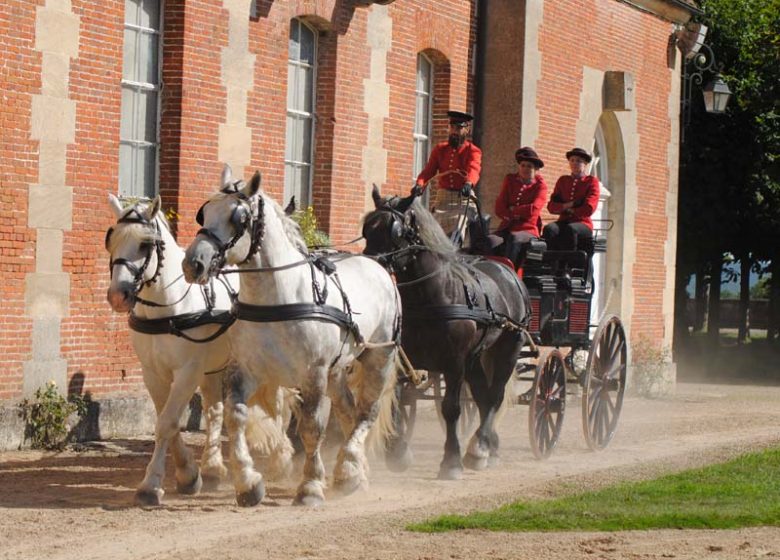 Haras national du Pin